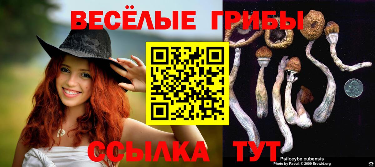 Галлюциногенные грибы MAGIC MUSHROOMS  Вход с VPN  Великий Устюг 